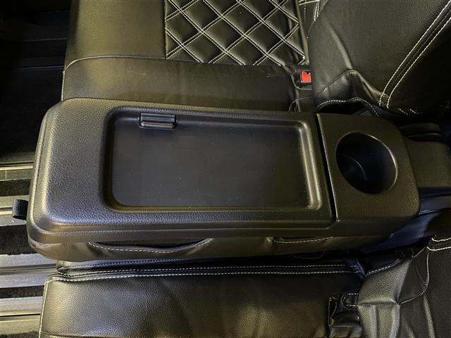 セレナ ライダー(40枚目)