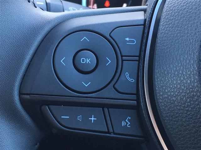 アドベンチャー オフロードパッケージ 禁煙車 4WD トヨタセーフティーセンス 社外ナビ フルセグTV BlueTooth接続 バックカメラ 黒革 パワーシート ルーフレール クリアランスソナー LEDライト ダウンヒルアシスト 18AW(31枚目)