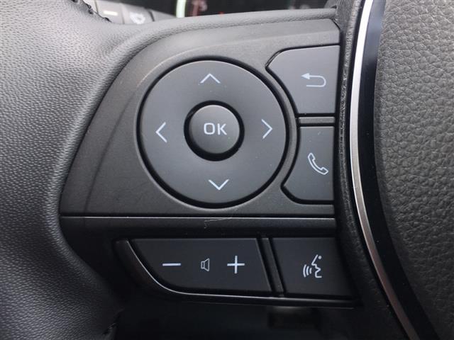 アドベンチャー オフロードパッケージ 禁煙車 4WD トヨタセーフティーセンス 9型DA BlueTooth接続 全周囲 ETC BSM 黒革 パワーシート ルーフレール クリアランスソナー LEDライト ダウンヒルアシスト 純正18AW(22枚目)