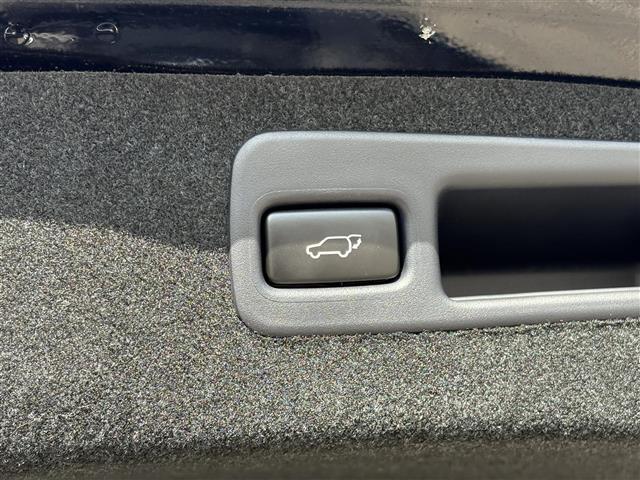 ハリアー プレミアム ALPINEナビ(CD/DVD/BT/SD) フルセグテレビ バックカメラ サンルーフ ETC ドライブレコーダー レーダークルーズコントロール プリクラッシュセーフティ コーナーセンサー(34枚目)