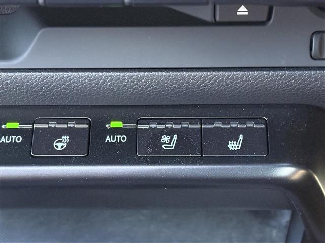 UX UX250h Fスポーツ 純正10.3インチナビ(BT/CD/DVD/フルセグ/USB/SD/Miracast) TRDエアロ ムーンルーフ 赤レザーシート 全方位カメラ 三眼LEDヘッドライト ヘッドアップディスプレイ(21枚目)