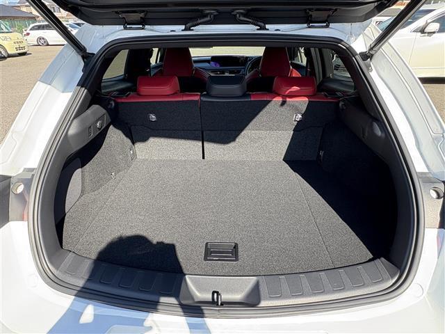 UX UX250h Fスポーツ 純正10.3インチナビ(BT/CD/DVD/フルセグ/USB/SD/Miracast) TRDエアロ ムーンルーフ 赤レザーシート 全方位カメラ 三眼LEDヘッドライト ヘッドアップディスプレイ(32枚目)