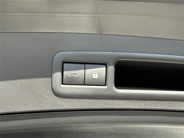 UX UX250h Fスポーツ 純正10.3インチナビ(BT/CD/DVD/フルセグ/USB/SD/Miracast) TRDエアロ ムーンルーフ 赤レザーシート 全方位カメラ 三眼LEDヘッドライト ヘッドアップディスプレイ(33枚目)