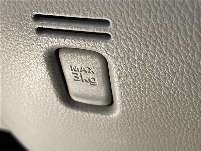 デイズルークス Ｘ　純正ナビ　ラジオ　ＴＶ　ＣＤ　ＤＶＤ　ＳＤ　ＢＴ　ウォークマン　ｉＰｏｄ　アイドリングストップ　両側パワスラ　ＥＴＣ　全方位カメラ　ヘッドライトレベライザー　オートエアコン　スマートキー　電格ミラー（28枚目）