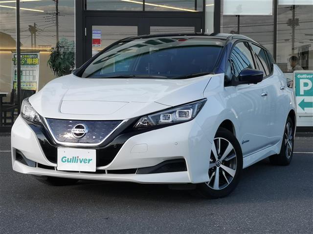 リーフ X 純正ナビ AM FM DISC MusicBox TV SD iPod BT AUX シートヒーター プロパイロット レーダークルコン ETC 全方位カメラ デジタルインナーミラー 前方ドラレコ(36枚目)