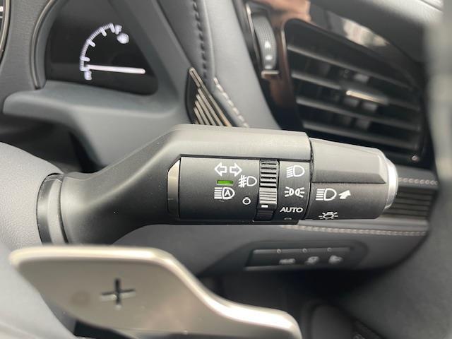 LS LS500h Iパッケージ 純正ナビ/CD/DVD/BT/USB/フルセグ/全方位/黒レザーシート/パワーシート/メモリーシート/シートヒーター/エアーシート/ステアリングヒーター/BSM/デジタルインナー/レーダークルーズ(29枚目)