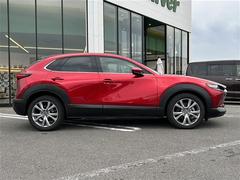 Ǽ֤ǽǤŸΥСͥåȥǡ̳ƻ鲭ޤǤɤǤ⤴ǼֲǽǤܺ٤Ϥڤˤ䤤碌ξ񤬤ޤ 7