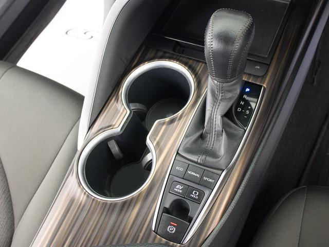 カムリ Ｇ　（整備点検記録簿７枚）（ＢＬＩＴＺ製車高調）（スピンドルエロ）（新品２０インチＡＷ）（ディーラーオプションＳＤナビ）（セーフティセンス）（レーダークルーズ）（衝突軽減）（ＬＤＡ）（32枚目）