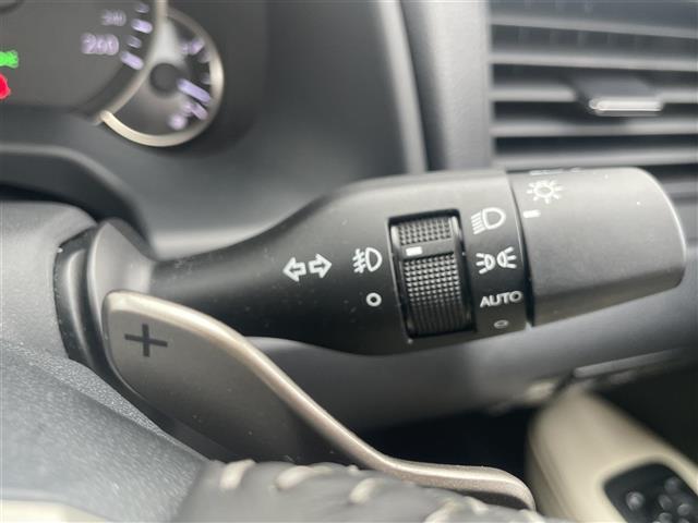 ＲＸ ＲＸ３００　バージョンＬ　純正１２，３インチナビ　全方位モニター　ツインルーフ　後席モニター　本革シート　三眼ＬＥＤヘッドライト　ＥＴＣ２．０　ステアリングヒーター　シートヒーター　シートベンチレーション　ワイヤレス充電（29枚目）