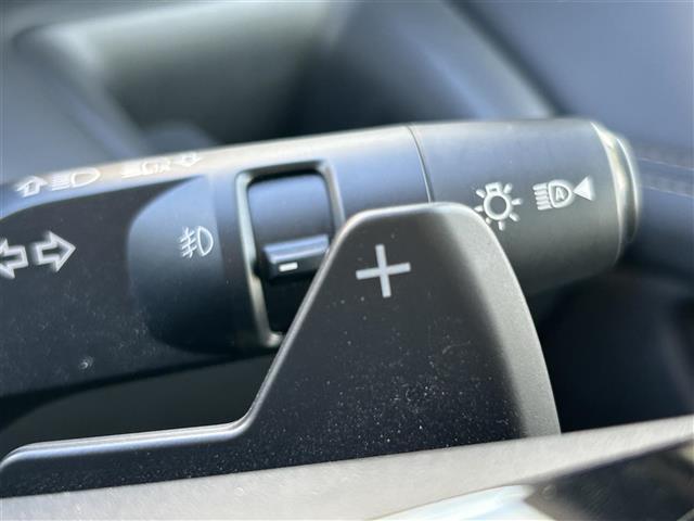 セレナ ハイウェイスターV プロパイロット 純正9インチナビ フルセグTV Bluetooth アラウンドビューモニター 両側パワースライドドア 前後コーナーセンサー BSM 後席11インチモニター 追従型クルーズコントロール(28枚目)