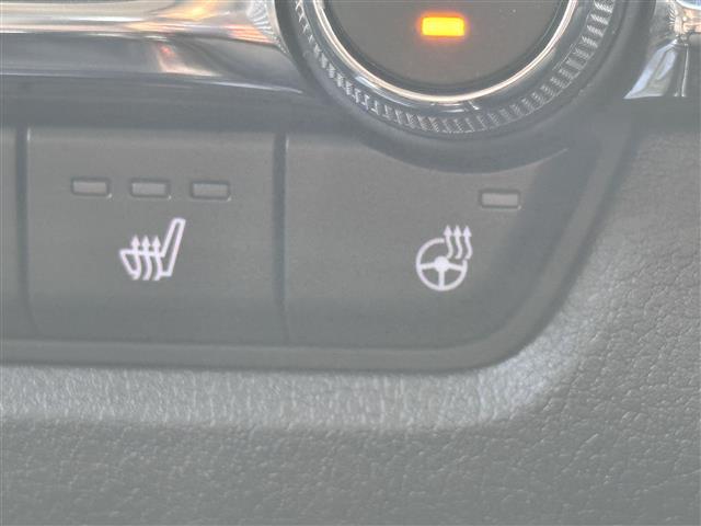 CX-30 X Lパッケージ 360°セーフティパッケージ BOSEスピーカー D席パワーシート シートヒーター ステアリングヒーター 電子パーキング オートホールド パドルシフト パワーリアゲート ETC コーナーセンサー(13枚目)