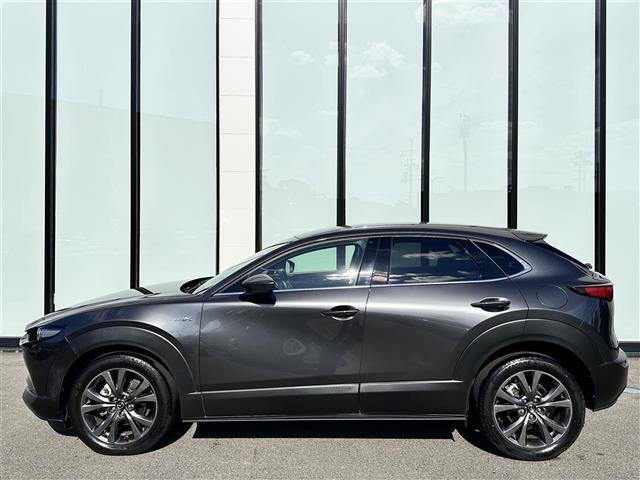 CX-30 X Lパッケージ 360°セーフティパッケージ BOSEスピーカー D席パワーシート シートヒーター ステアリングヒーター 電子パーキング オートホールド パドルシフト パワーリアゲート ETC コーナーセンサー(35枚目)