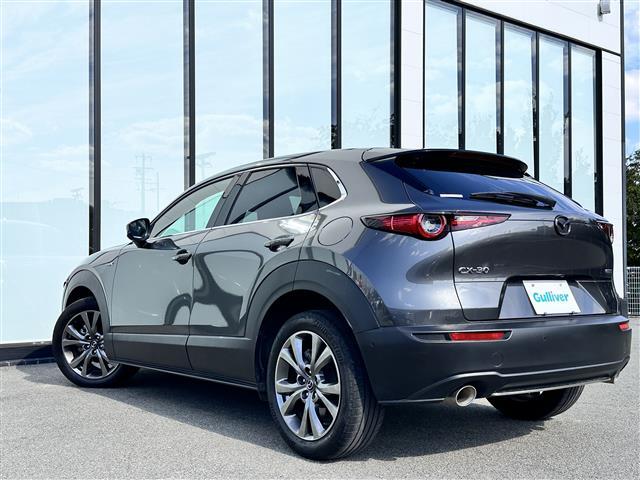 CX-30 X Lパッケージ 360°セーフティパッケージ BOSEスピーカー D席パワーシート シートヒーター ステアリングヒーター 電子パーキング オートホールド パドルシフト パワーリアゲート ETC コーナーセンサー(43枚目)