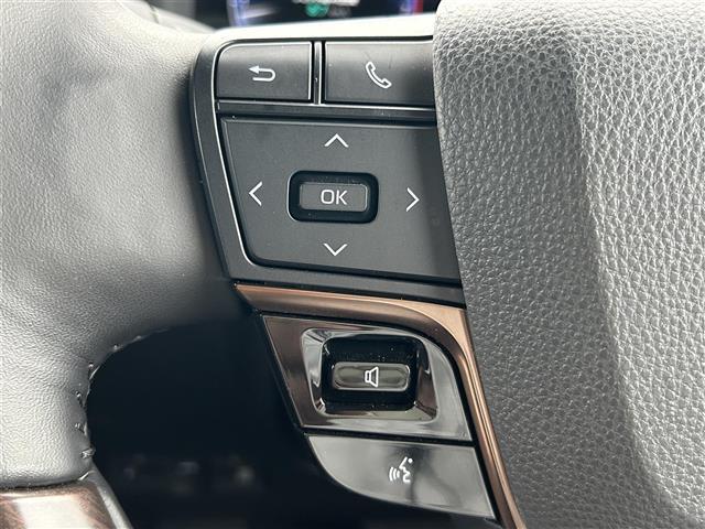 アルファード Z 純正14インチディスプレイオーディオ パノラミックビュー レーダークルーズコントロール エグゼクティブパワーシート 両側パワースライドドア 前後ドライブレコーダー ビルトインETC2.0(24枚目)