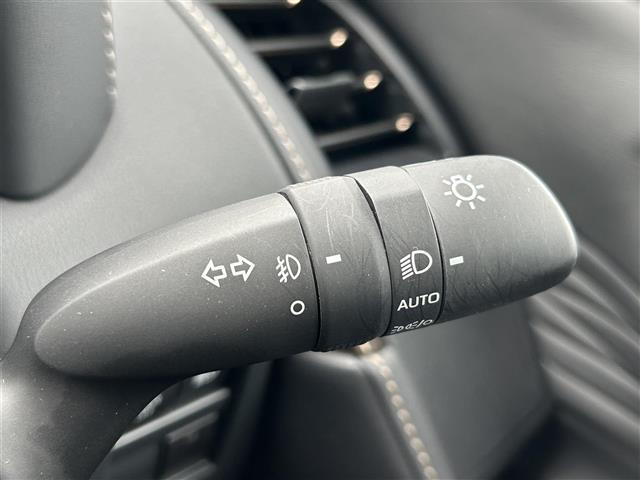 アルファード Z 純正14インチディスプレイオーディオ パノラミックビュー レーダークルーズコントロール エグゼクティブパワーシート 両側パワースライドドア 前後ドライブレコーダー ビルトインETC2.0(26枚目)