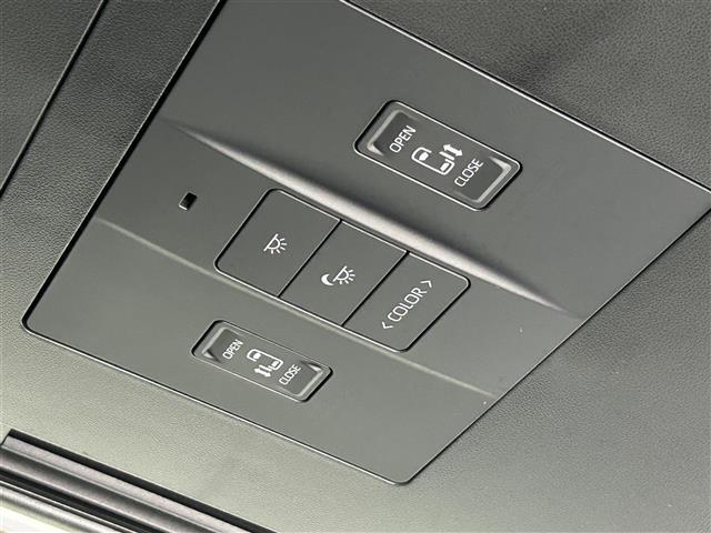 アルファード Z 純正14インチディスプレイオーディオ パノラミックビュー レーダークルーズコントロール エグゼクティブパワーシート 両側パワースライドドア 前後ドライブレコーダー ビルトインETC2.0(29枚目)