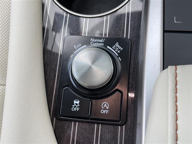 RX RX300 バージョンL 純正ナビ ACC プリクラ レーントレーシングアシスト オートマチックハイビーム 合皮シート パワーシート エアシートヒーター HUD BSM SOSコール オートホールド ドラレコ ETC2.0(16枚目)