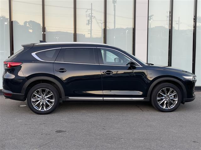 ＣＸ－８ ＸＤ　Ｌパッケージ　ｉ－ＡＣＴＩＶＳＥＮＳＥ　純正ナビ　フルセグＴＶ／ＣＤ／ＤＶＤ／Ｂｌｕｅｔｏｏｔｈ／ＵＳＢ　全方位カメラ　ＭＴモード付ＡＴ　追従型クルーズコントロール　ＢＳＭ　フリップダウンモニター　温冷シート（38枚目）