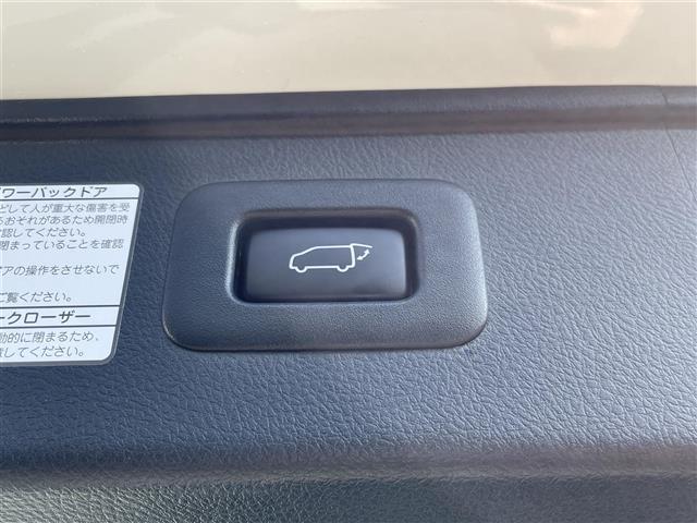 ヴェルファイア ２．５　ゴールデンアイズＩＩＩ　純正９インチディスプレイオーディオナビ　バックカメラ　両側パワースライドドア　ツインムーンルーフ　デジタルインナーミラー　ＢＳＭ　パワーバックドア　３眼ＬＥＤヘッド　シーケンシャルターンランプ　ＥＴＣ（30枚目）