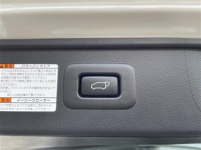 アルファード 2.5S タイプゴールド ワンオーナー 純正9インチナビ フルセグTV バックモニター 後席モニター ツインムーンルーフ レーダークルーズコントロール 両側パワースライドドア 電動リアゲート オットマン ETC 三眼LED(9枚目)