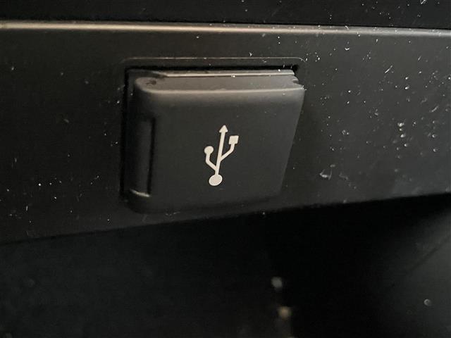 アルファード 2.5S タイプゴールド ワンオーナー 純正9インチナビ フルセグTV バックモニター 後席モニター ツインムーンルーフ レーダークルーズコントロール 両側パワースライドドア 電動リアゲート オットマン ETC 三眼LED(29枚目)