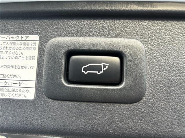 アルファード 2.5S Cパッケージ 社外11インチナビ サンルーフ バックカメラ ETC 前ドライブレコーダー 両側パワースライドドア パワーシート シートヒーター エアシート パワーバックドア オットマン BSM 純正18インチAW(36枚目)