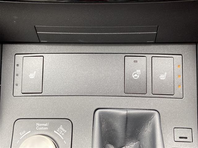 IS IS300h Fスポーツ メーカーナビ バックモニター プリクラッシュセーフティ レーンディパーチャーアラート オートハイビーム アダプティブクルーズコントロール ブラインドスポットモニター クリアランスソナー 3眼LED(15枚目)