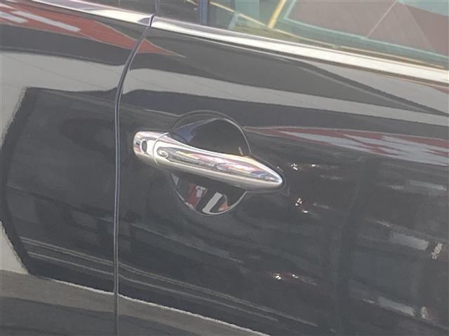 250GT Aパッケージ 純正HDDナビ/ワンセグ/DVD/CD/FM/AM/バックカメラ ビルトインETC/フォグランプ/クルーズコントロール/コーナーセンサー/パワーシート/オートライト/LEDヘッドライト/横滑り防止(37枚目)