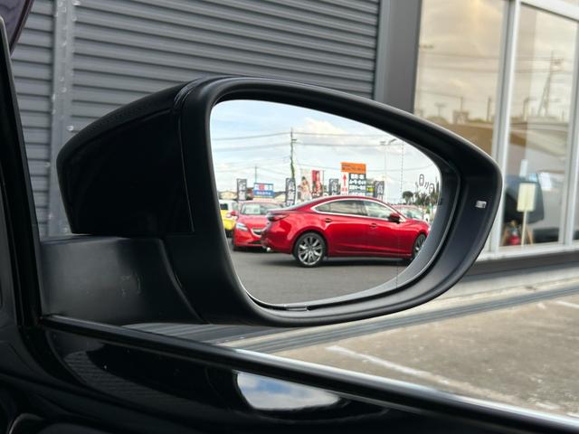 ザ・ビートル デザイン　後期型　純正ナビ　１２セグ　ＢＴ　ＤＶＤ　ＣＤ　バックカメラ　スマートエントリードライブ　ブラインドスポットモニター　クルーズコントロール　トランクスポイラー　パドルシフト　キセノン　禁煙車（63枚目）