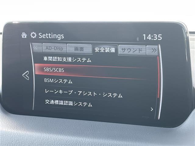 ＸＤ　プロアクティブ　ＢＯＳＥサウンドシステム　全周囲カメラ　純正ナビ　フルセグテレビ　ＣＤ／ＤＶＤプレイヤー　パワーバックドア　衝突軽減ブレーキ　レーダークルーズコントロール　レーンキープアシスト　電動パーキング　ＥＴＣ(7枚目)