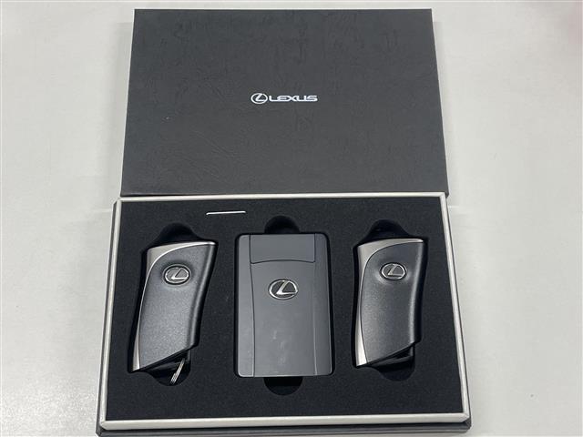 ＮＸ ＮＸ２５０　バージョンＬ　１オナ／パノラマルーフ／内装ヘーゼル／マークレビンソン／パノラミックビューモニター／おくだけ充電／寒冷地仕様／純正２０インチＡＷ／カードキー（29枚目）