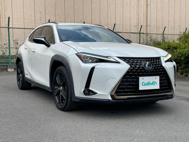 ���O�[�E�O�[�l�b�g�E�f�����E�f�����������̂��ԒT���͓��X�ɂ��C�����������I�����q�s�A���c�s�A�~�s�A����s�A�������s�A���c�J��A������A���n��Ȃǂɂ��Z���̂��q�l�̂����X�����҂����Ă���܂��I�I