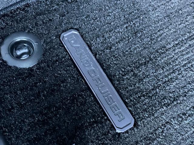 ランドクルーザー２５０ ＶＸ　１２．３型純正ナビ　フルセグ　Ｂｌｕｅｔｏｏｔｈ　ＵＳＢ　ＨＤＭＩ接続　サンルーフ　レザーシート　シートーヒーター　シートベンチレーション　デジタルインナーミラー　パノラマモニター　３眼ＬＥＤライト（49枚目）