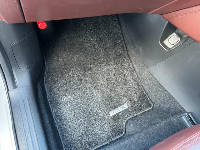 �y���z�K���o�[����X�́u�g�C�U��X�E�x�r�[�U��X����v�̂����ׂ�B�u�W���C�t���z���_����X����v�̓��H�����񂾖ڂ̑O�ł��I�݂Ȃ��܂̂��ԑI�т̂���`���������Ă��������I