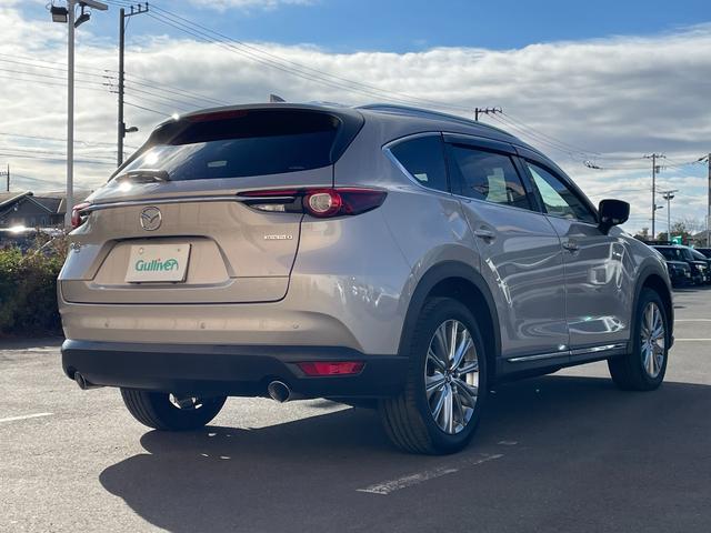 �y���z�K���o�[����X�́u�g�C�U��X�E�x�r�[�U��X����v�̂����ׂ�B�u�W���C�t���z���_����X����v�̓��H�����񂾖ڂ̑O�ł��I�݂Ȃ��܂̂��ԑI�т̂���`���������Ă��������I