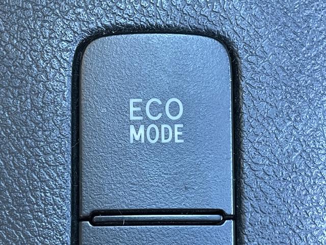 �y���z�K���o�[����X�́u�g�C�U��X�E�x�r�[�U��X����v�̂����ׂ�B�u�W���C�t���z���_����X����v�̓��H�����񂾖ڂ̑O�ł��I�݂Ȃ��܂̂��ԑI�т̂���`���������Ă��������I