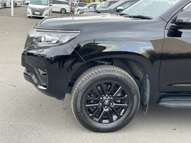 ランドクルーザープラド TX Lパッケージ 70thアニバーサリーリミテッド ワンオーナー MOPナビフルセグ アラウンドビューモニター ブラウンレザーシート LEDヘッドライト エアシート パワーシート レーダークルーズコントロール オートハイビーム 社外セキュリティー(68枚目)