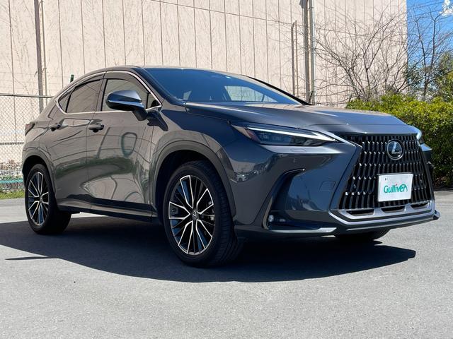 ＮＸ ＮＸ３５０ｈ　バージョンＬ　メーカーナビ　バックモニター　デジタルインナーミラー　プリクラッシュセーフティ　ブラインドスポットモニター　レーンディパーチャーアラート　レーダークルーズ　パワーシート　本革シート　後席電動格納（61枚目）