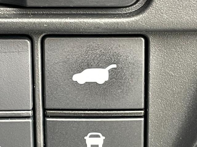 ���y�p���[�o�b�N�h�A�z�ו����������Ԃł����A�Q�[�g�̊J���\�ł��I������������A�E�g�h�A�̍ۂɖ𗧂��܂��ˁB