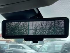 ���ڥ���ƥꥸ����ȥ롼��ߥ顼�ۥꥢ�����β�����վ���˥����ʥ롼��ߥ顼�ˤ˼̤��ơ��������ʤοͤǻ볦���פ�줿�ꡢ��֤䰭ŷ���λ��ʤɤ⡢���ꥢ�ʸ����볦����ݤ��뤿��¿��Ǥ��� 5