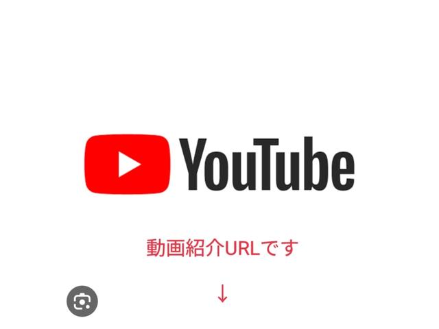 プリウス 　ナビ　バックカメラ　ワンセグｔｖ　ＥＴＣ　スマートキー（37枚目）