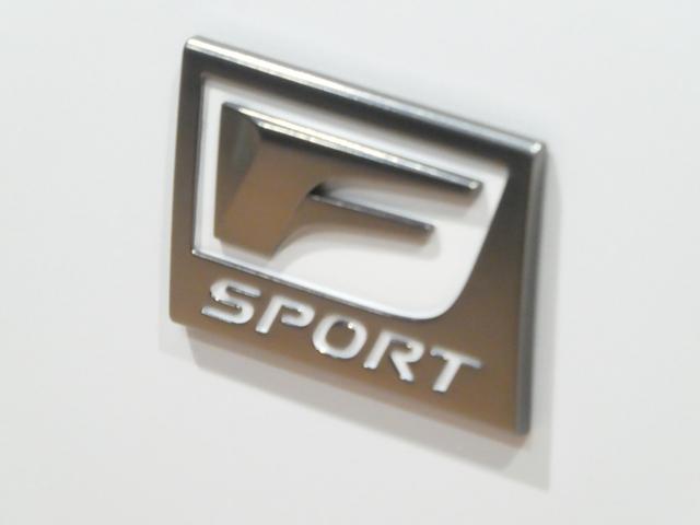 【Ｆスポーツ】オーナメント♪