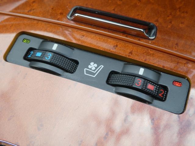 �G�A�V�[�g�E�V�[�g�q�[�^�[������