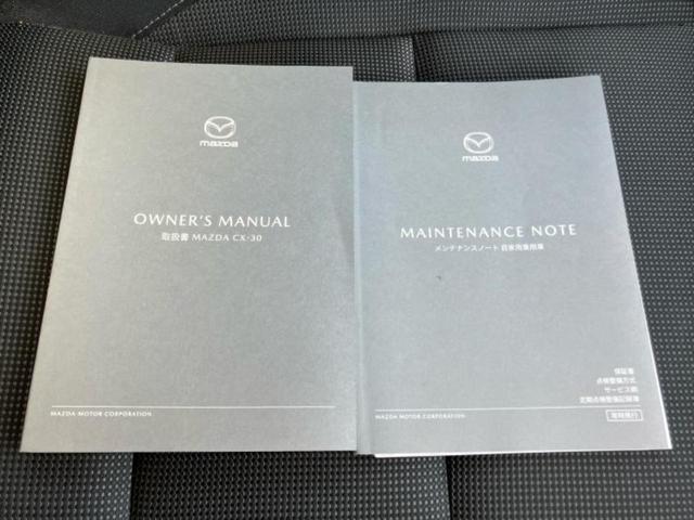 CX-30 20S 保証書/純正 10インチ SDナビ/アイアクティブセンス(マツダ)/車線逸脱防止支援システム/ドライブレコーダー 前後/ヘッドランプ LED/USBジャック/Bluetooth接続/HDMI接続(35枚目)