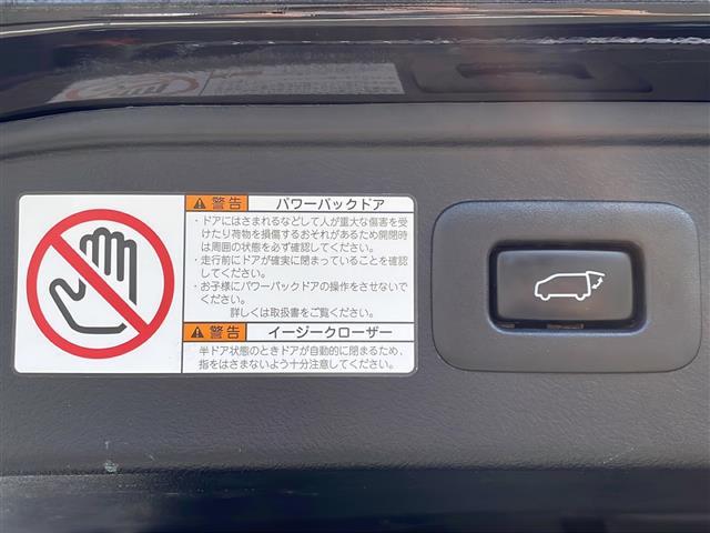 アルファードハイブリッド エグゼクティブラウンジS(25枚目)