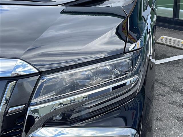 アルファードハイブリッド エグゼクティブラウンジS(36枚目)