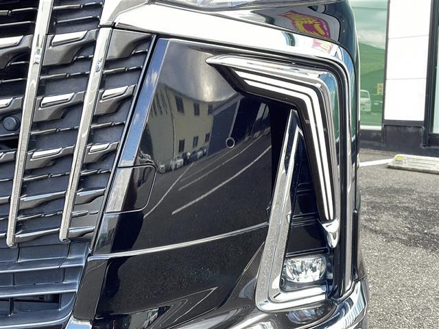 アルファードハイブリッド エグゼクティブラウンジS(38枚目)