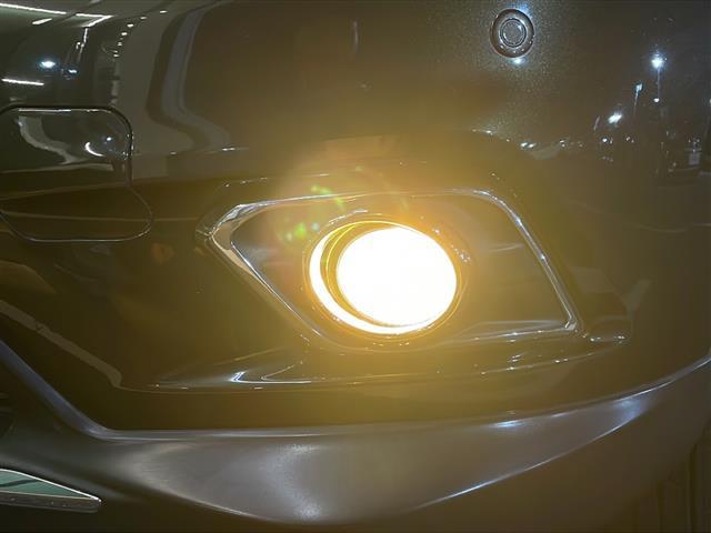 エクストレイル ２０Ｘ　エマージェンシーブレーキパッケージ　純正８型メモリナビ／フルセグＴＶ／フリップダウンモニター／バックカメラ／前方向ドライブレコーダー／前席シートヒーター／ＬＥＤヘッドライト／オートライト／コーナーセンサー／純正１７インチアルミホイール（28枚目）