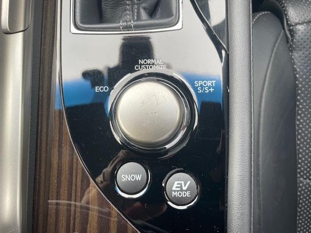 GS GS300h Fスポーツ ムーンルーフ/3眼LED/BSM/HUD/パワートランクリッド/セーフティシステムプラス/純正ナビ/フルセグ/CD/DVD/SD/BT/ETC2.0/レザー/シートベンチレーション/スペアキー(8枚目)
