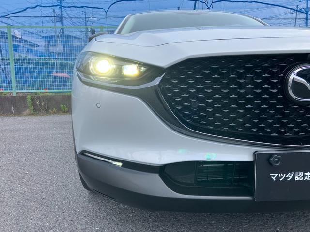 ＣＸ－３０ ＸＤ　レトロスポーツエディション（4枚目）